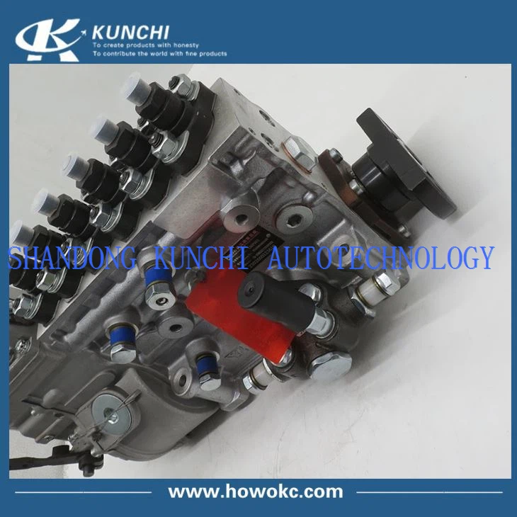 Sinotruk HOWO Fuel Injection Pump VG1096080160